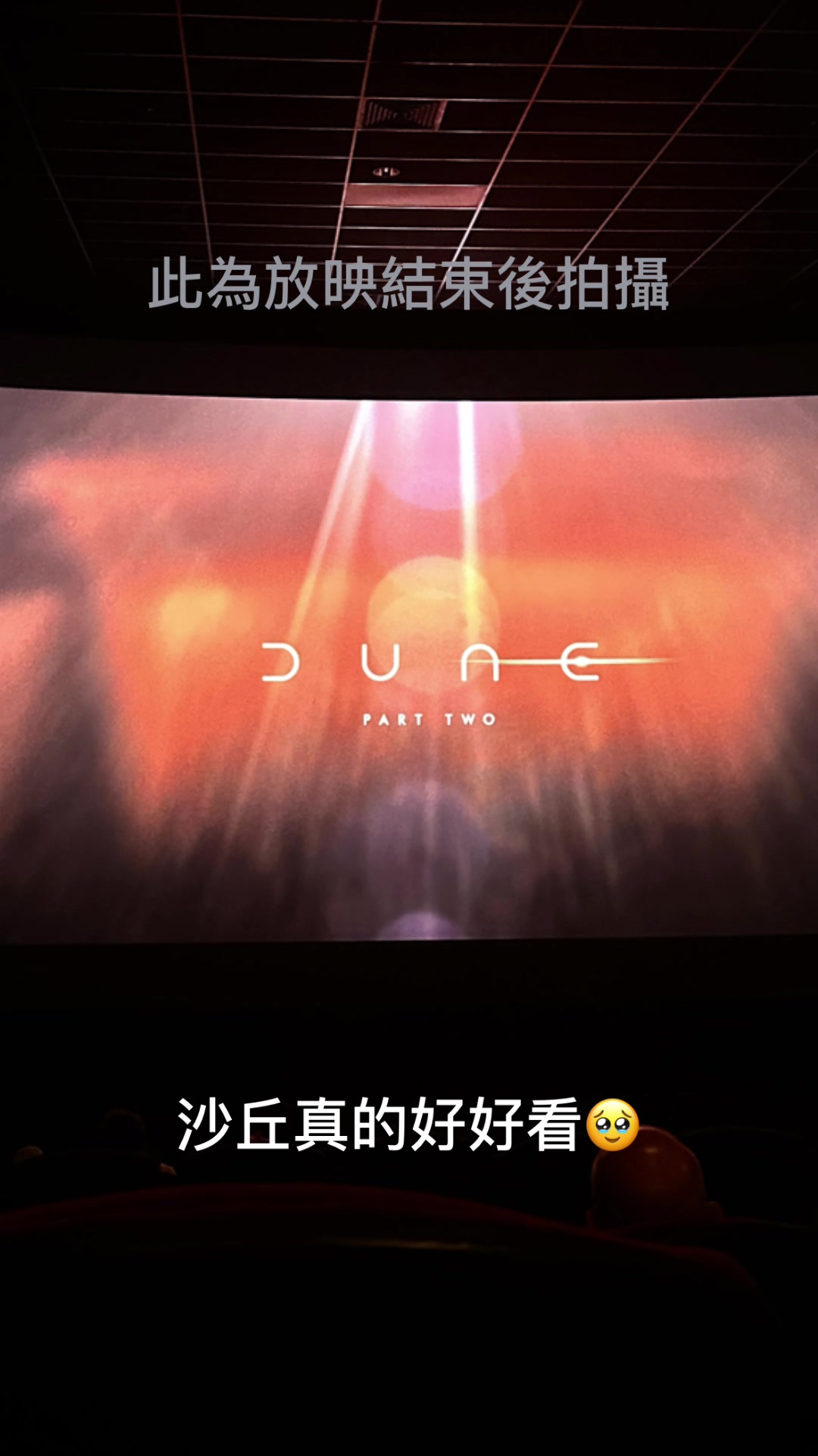 @Drifting housewife 流浪人妻