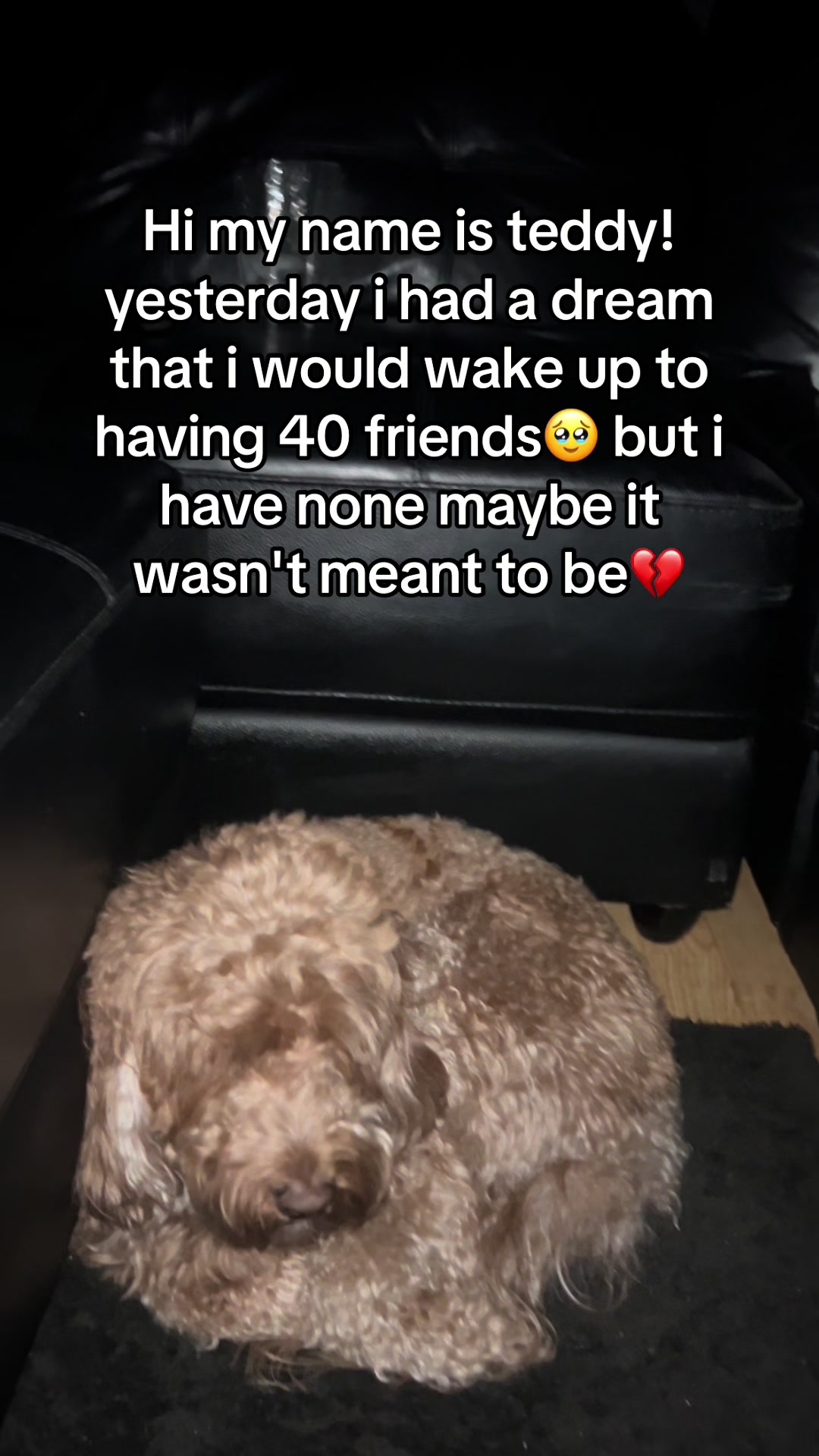 @Jojosfindzz