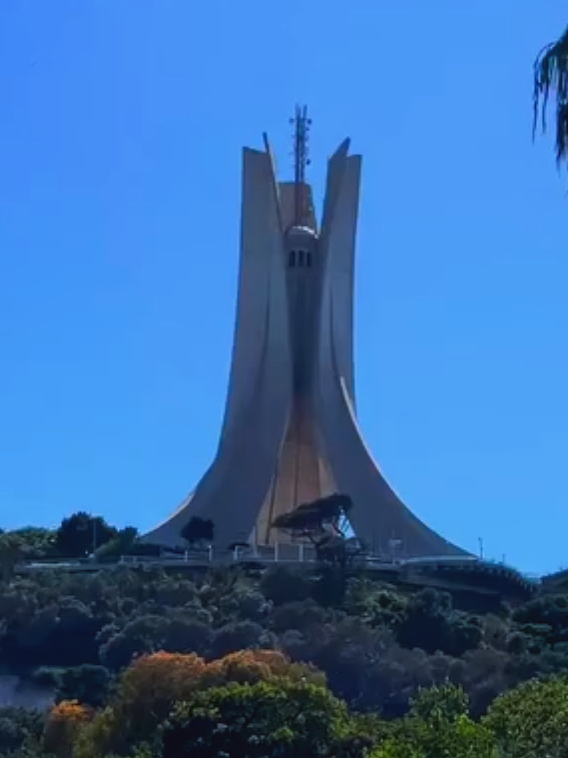 @nasro hz 🇩🇿