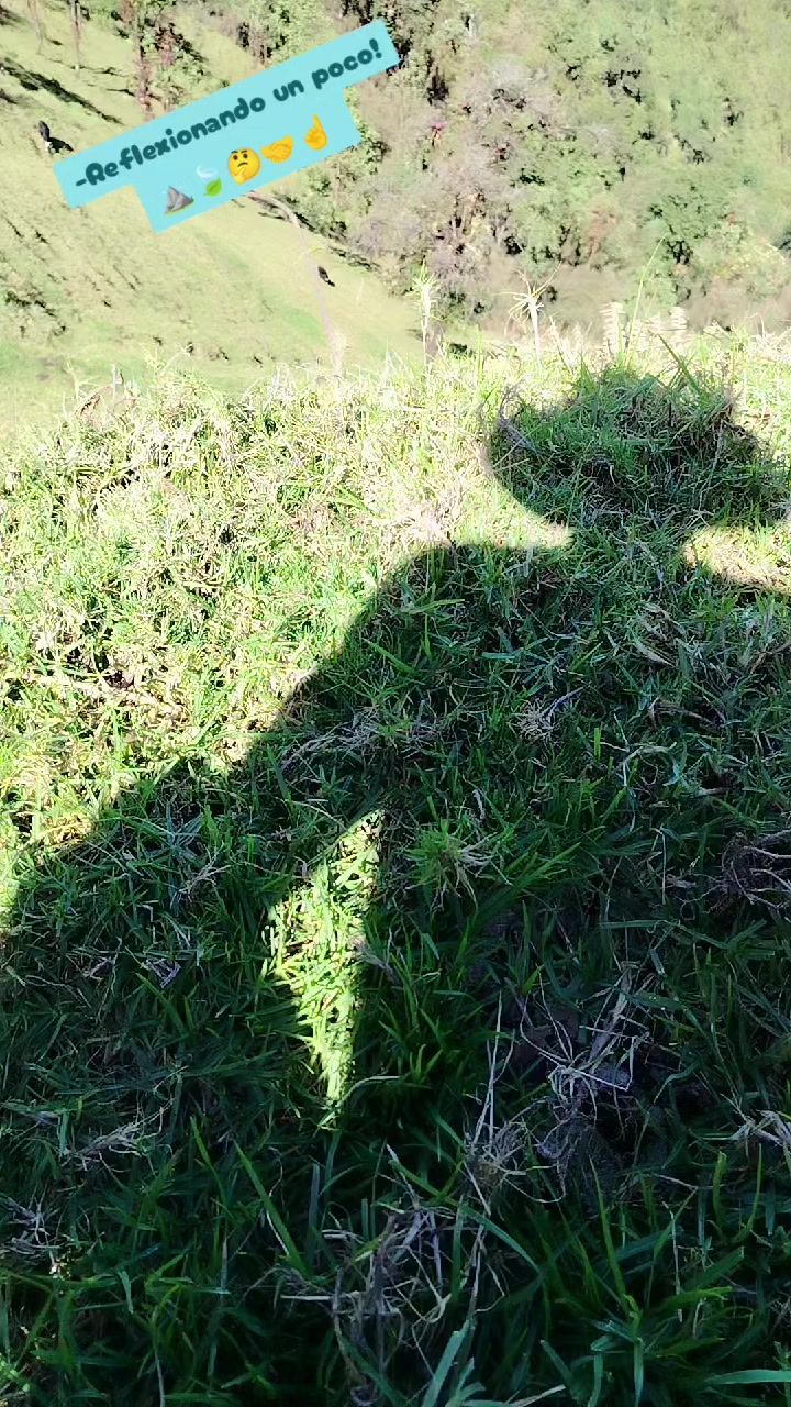 @PONYROJAS