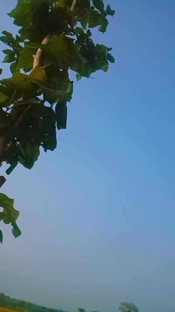 @Chanda dahal 🌻🌻