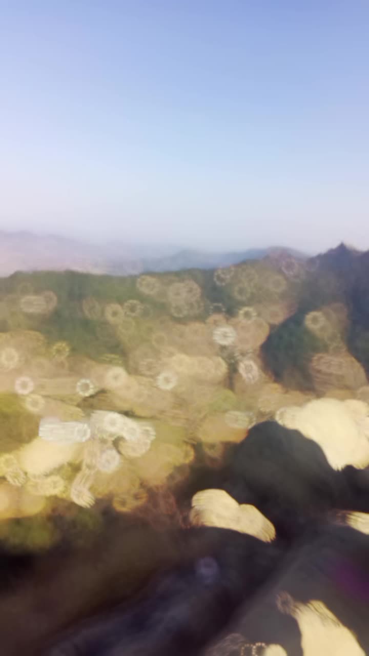@Ali Jatria