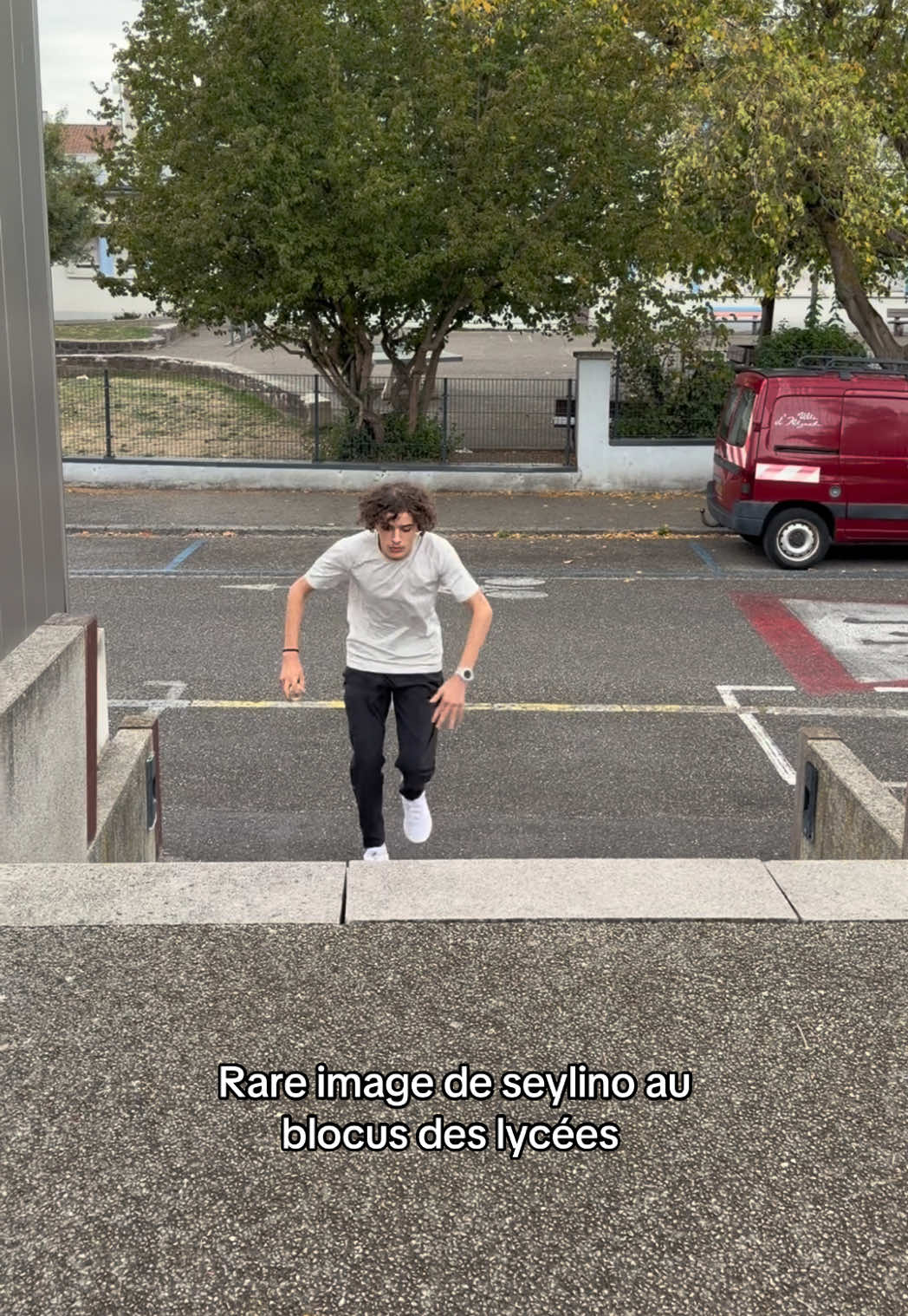 @seylino