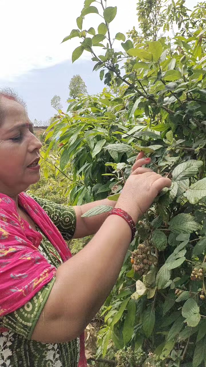 @amrita khadka oli