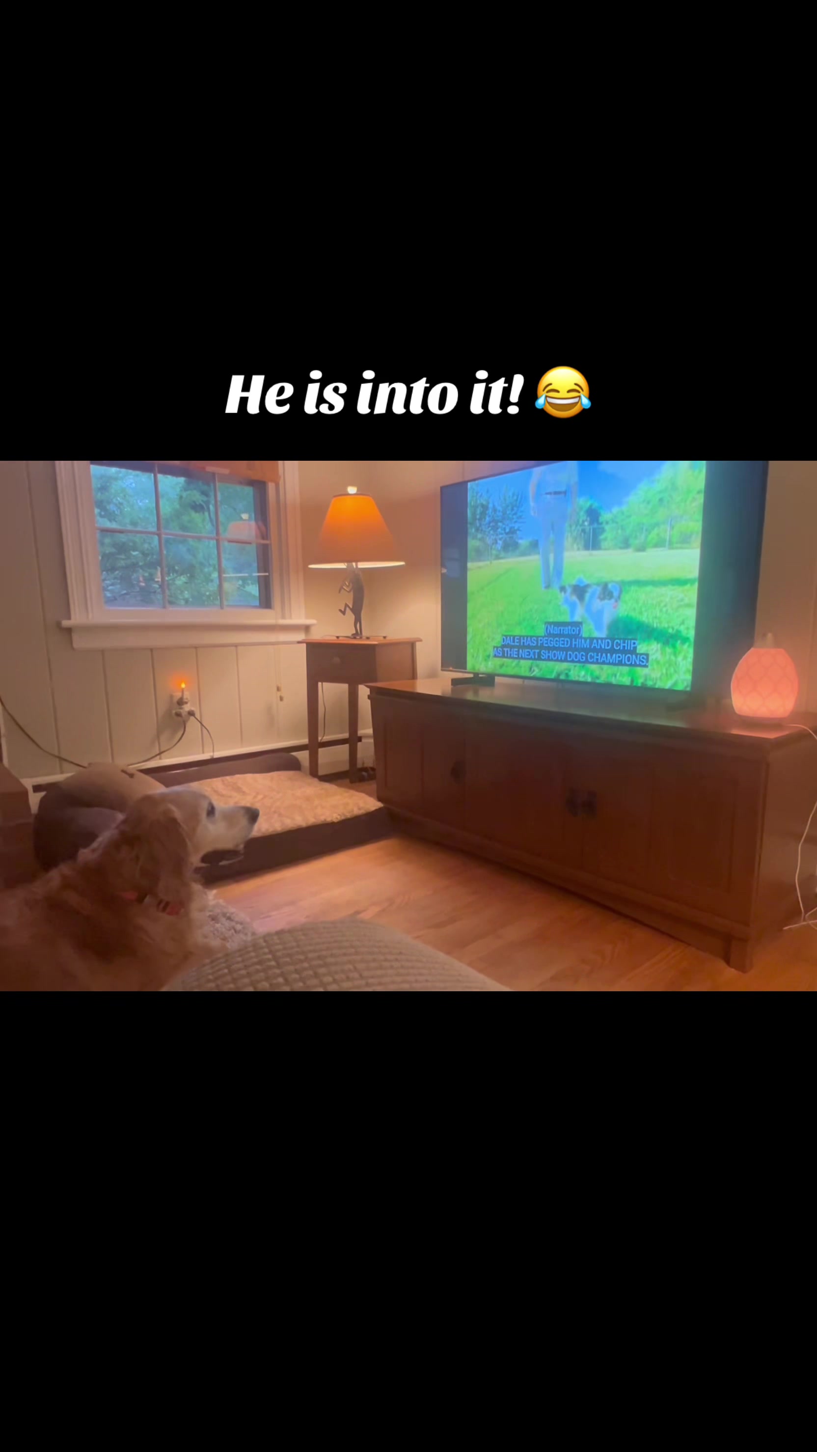 @lifewithduke2025