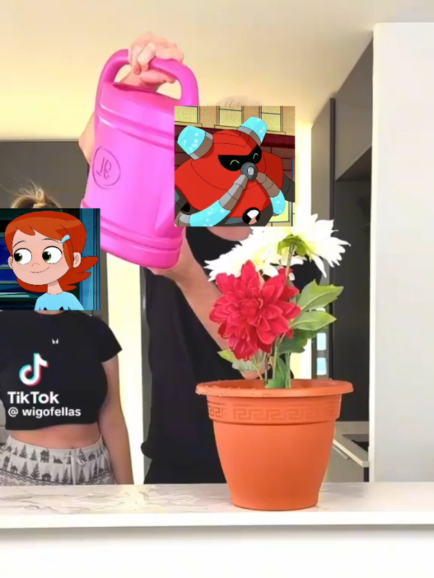 @Zambine Zomboni