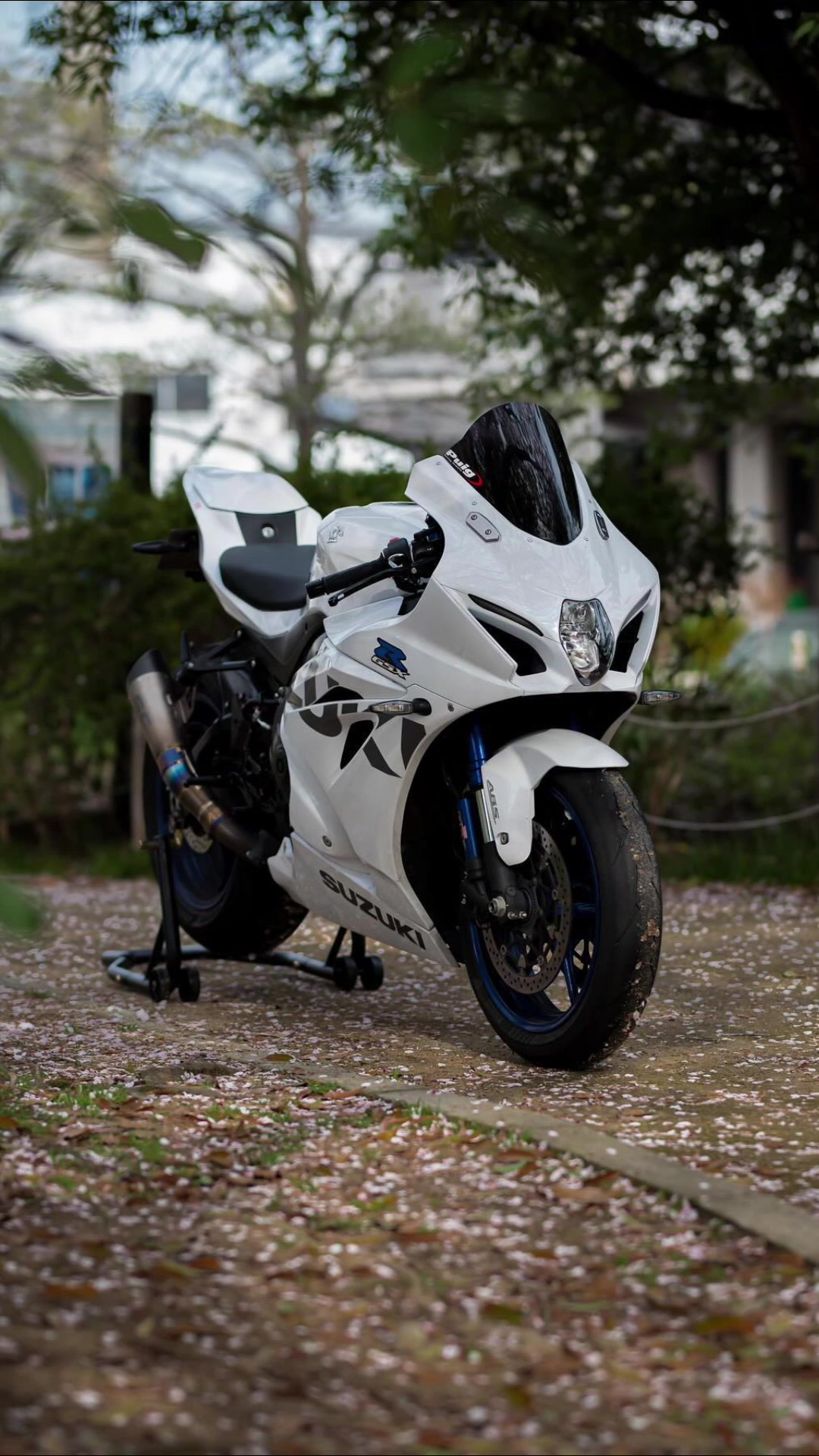 @MotoVista