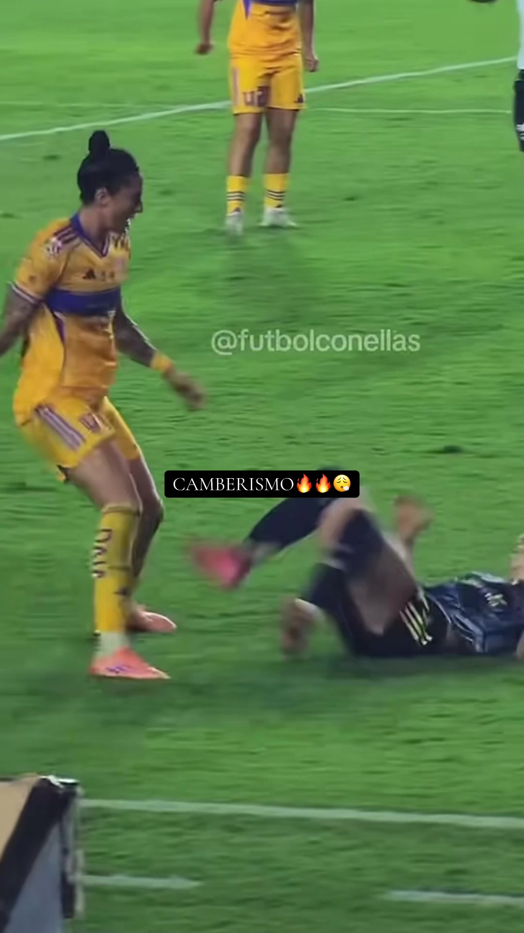 @S.Camberos10