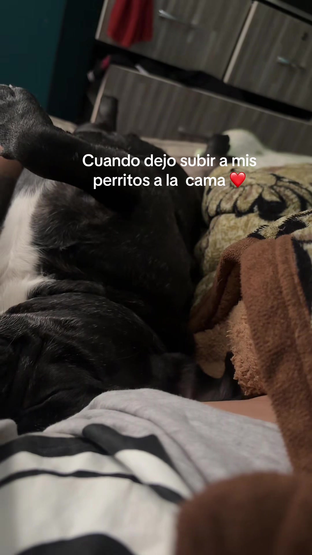 @Samira Serna