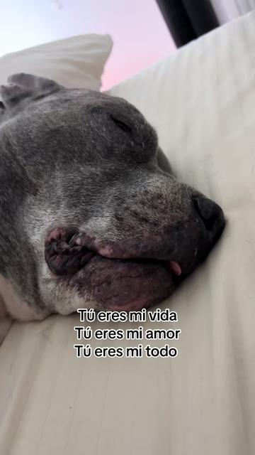@Tereza