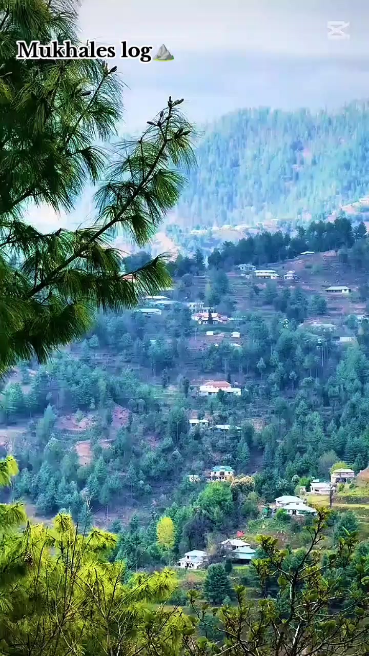 @🥀SOHAIL🥀
