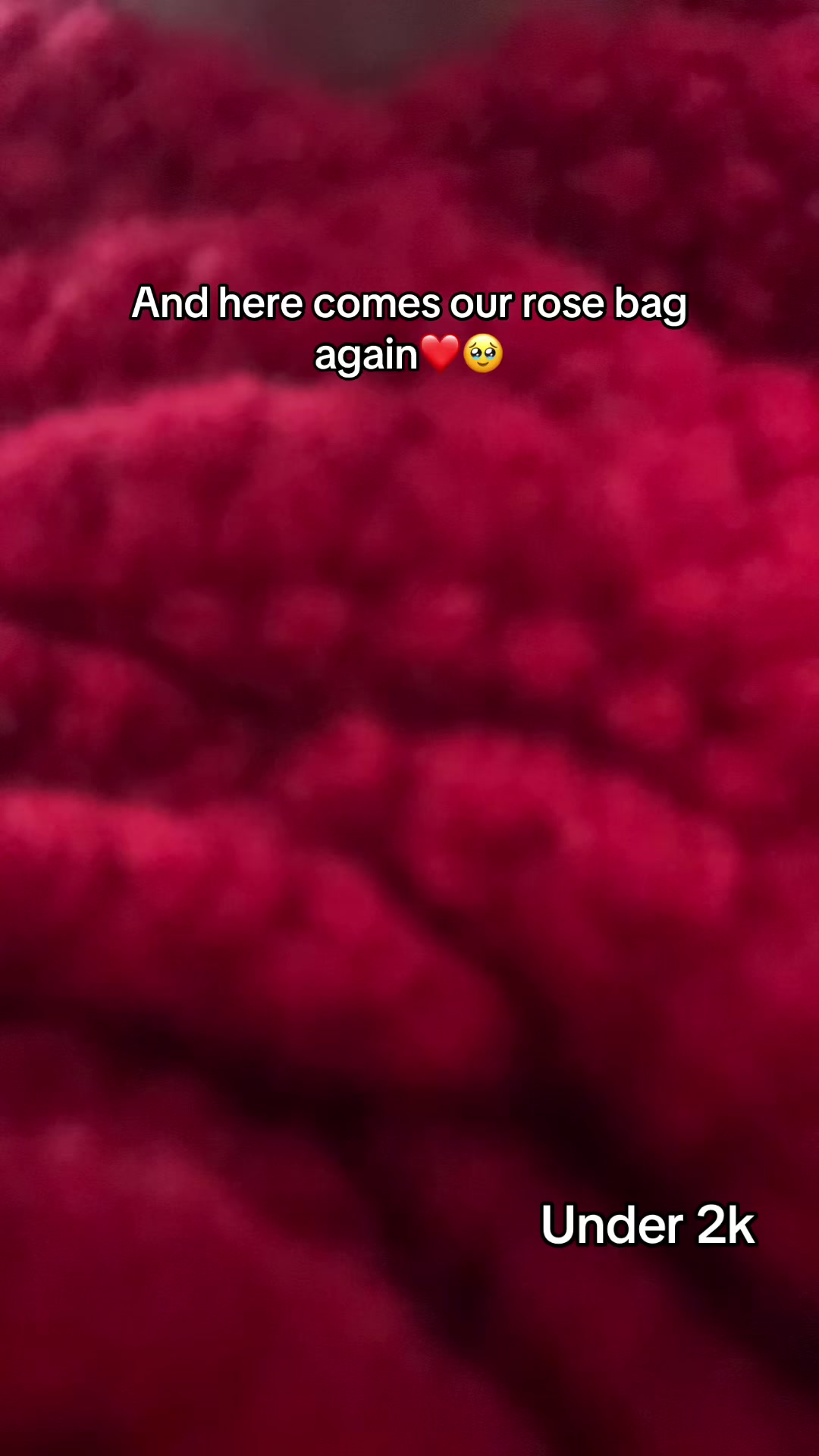 @cozyyloops
