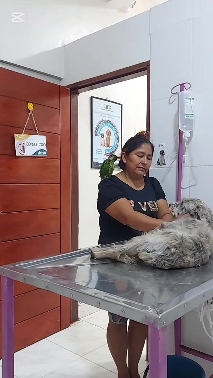 @VETERINARIA VET CENTER 💜