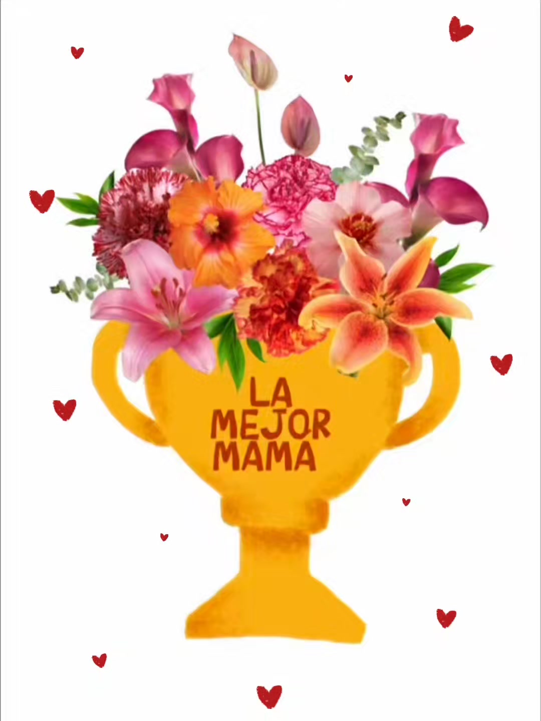 @Isabella Yerena