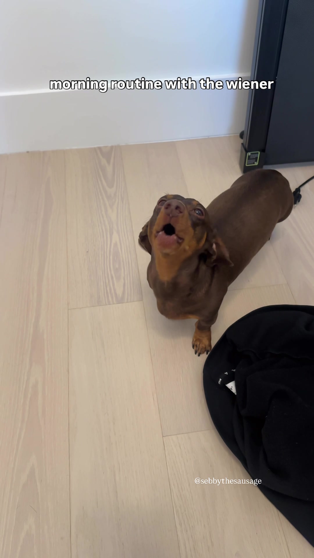 @sebbythesausage