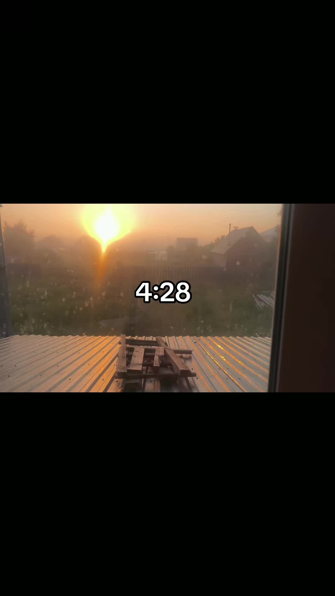 @ForlZzz