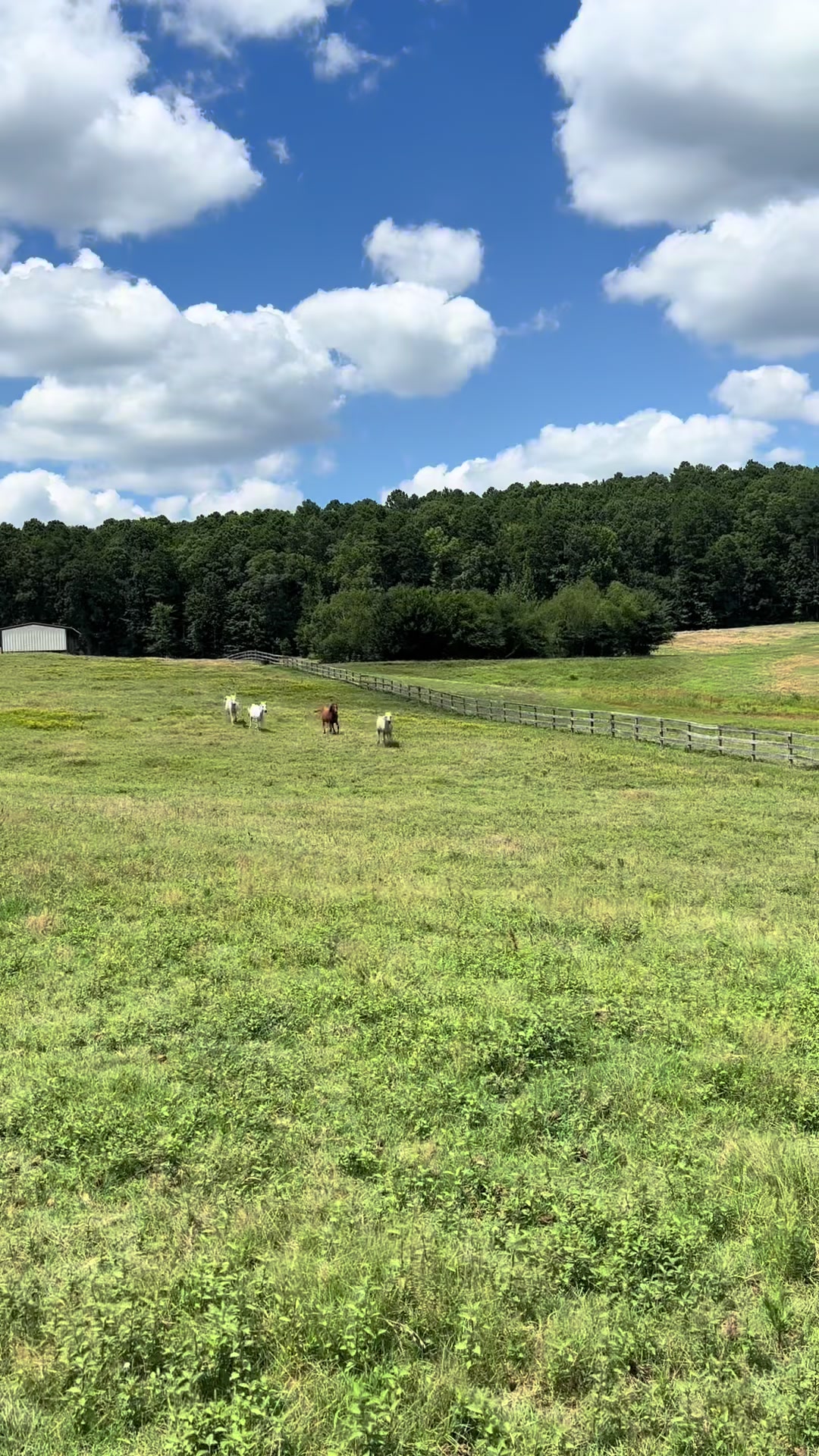@ARabianUpdate