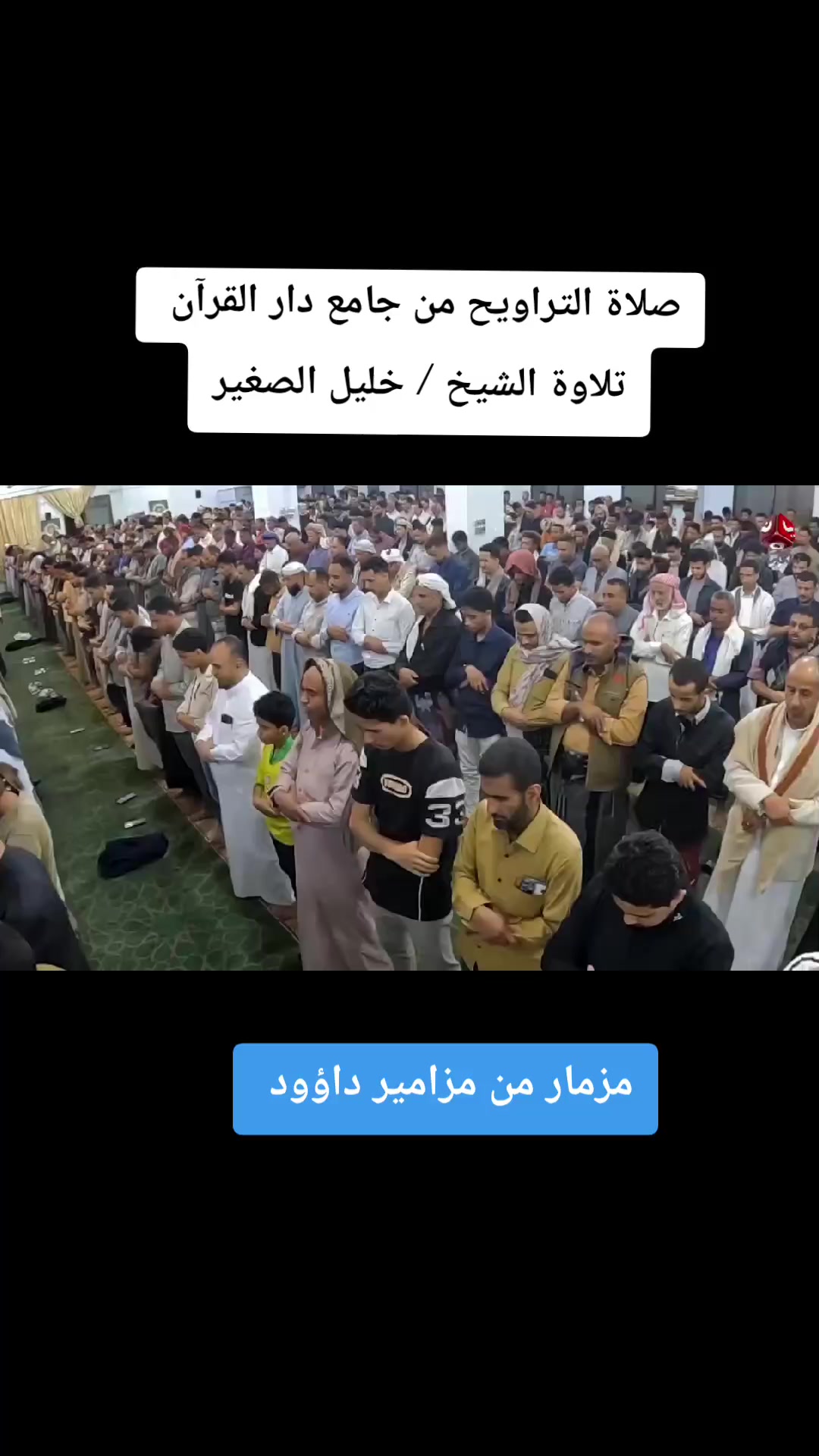 @«🔥🦅صقر الحالمة جديد🦅🔥»