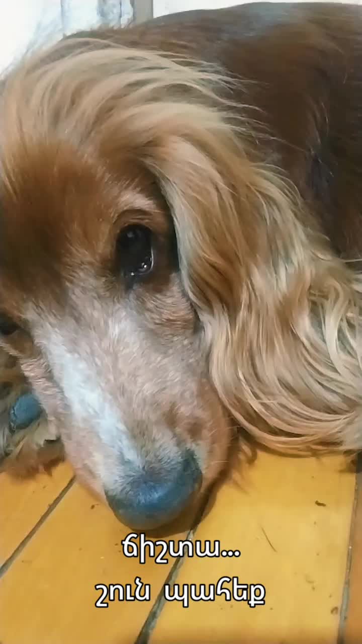 @Артур
