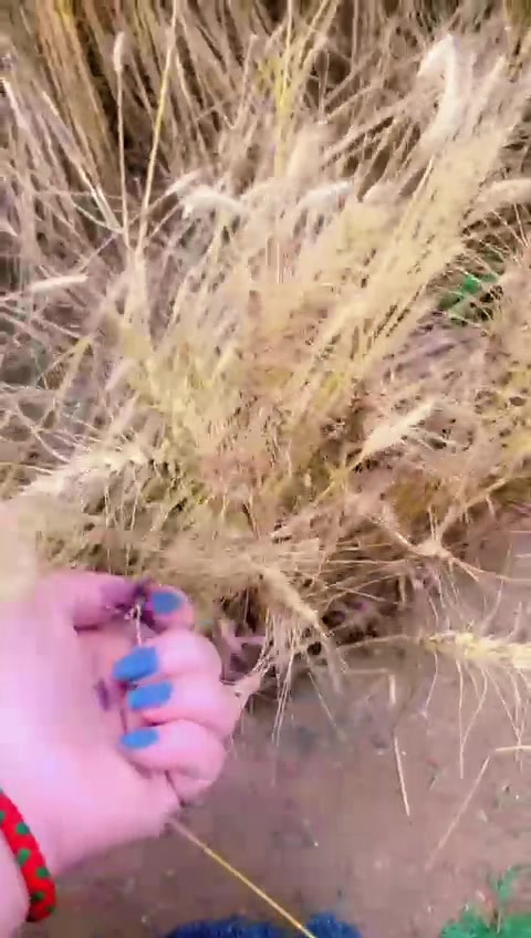 @elliyakhan7