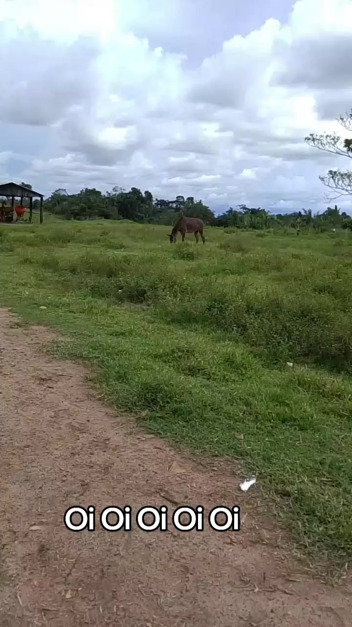 @Menina&Da roça🤠