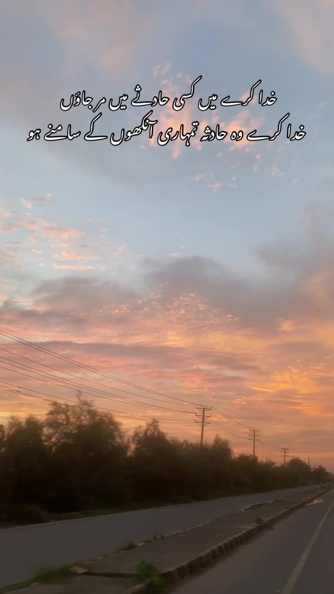 @🕊️