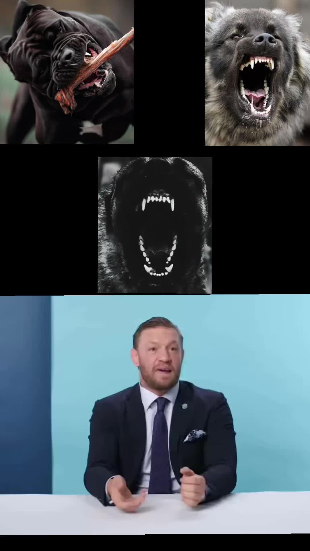 @Ultimate Puppies