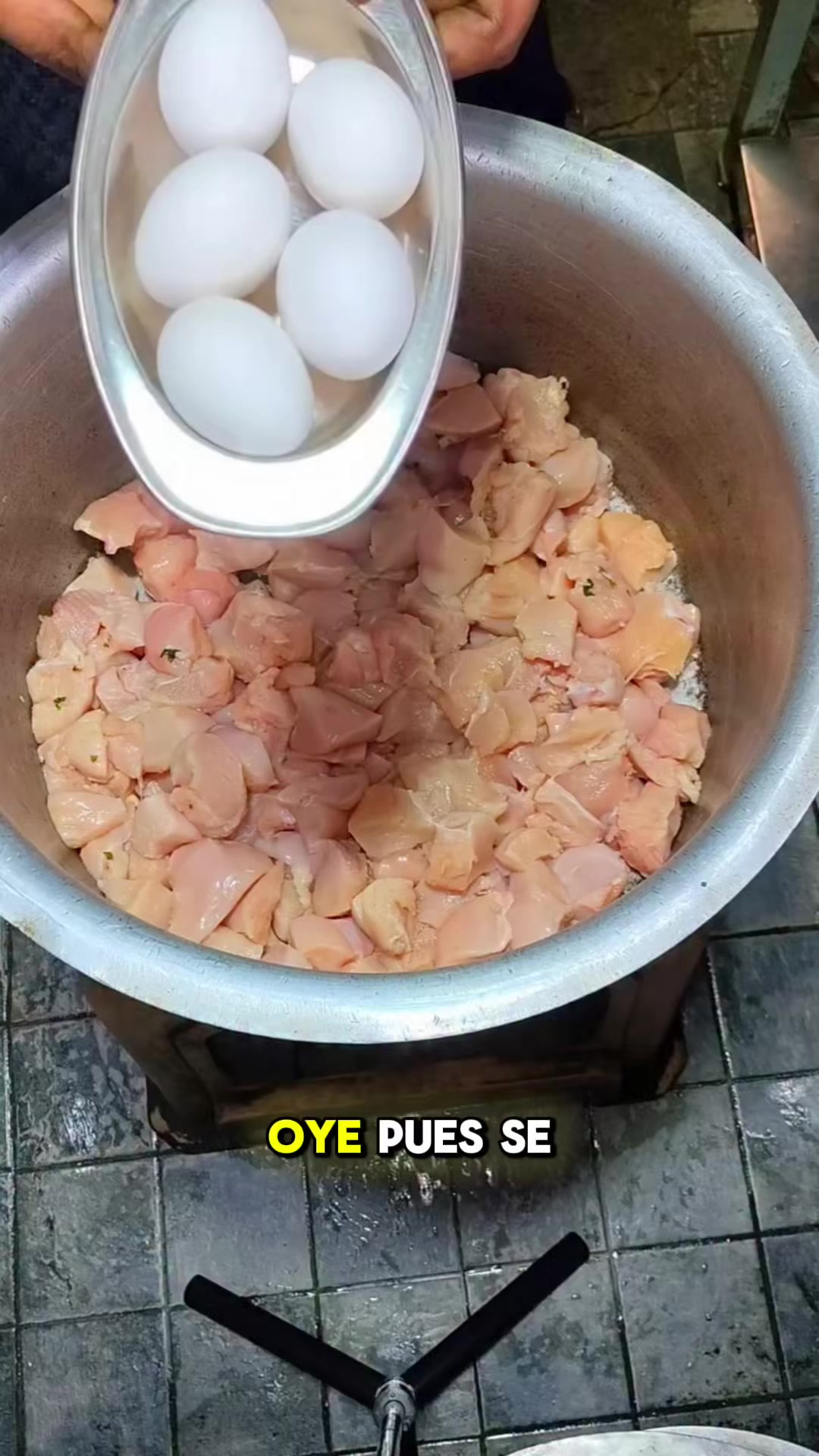 @El Kalesmaris