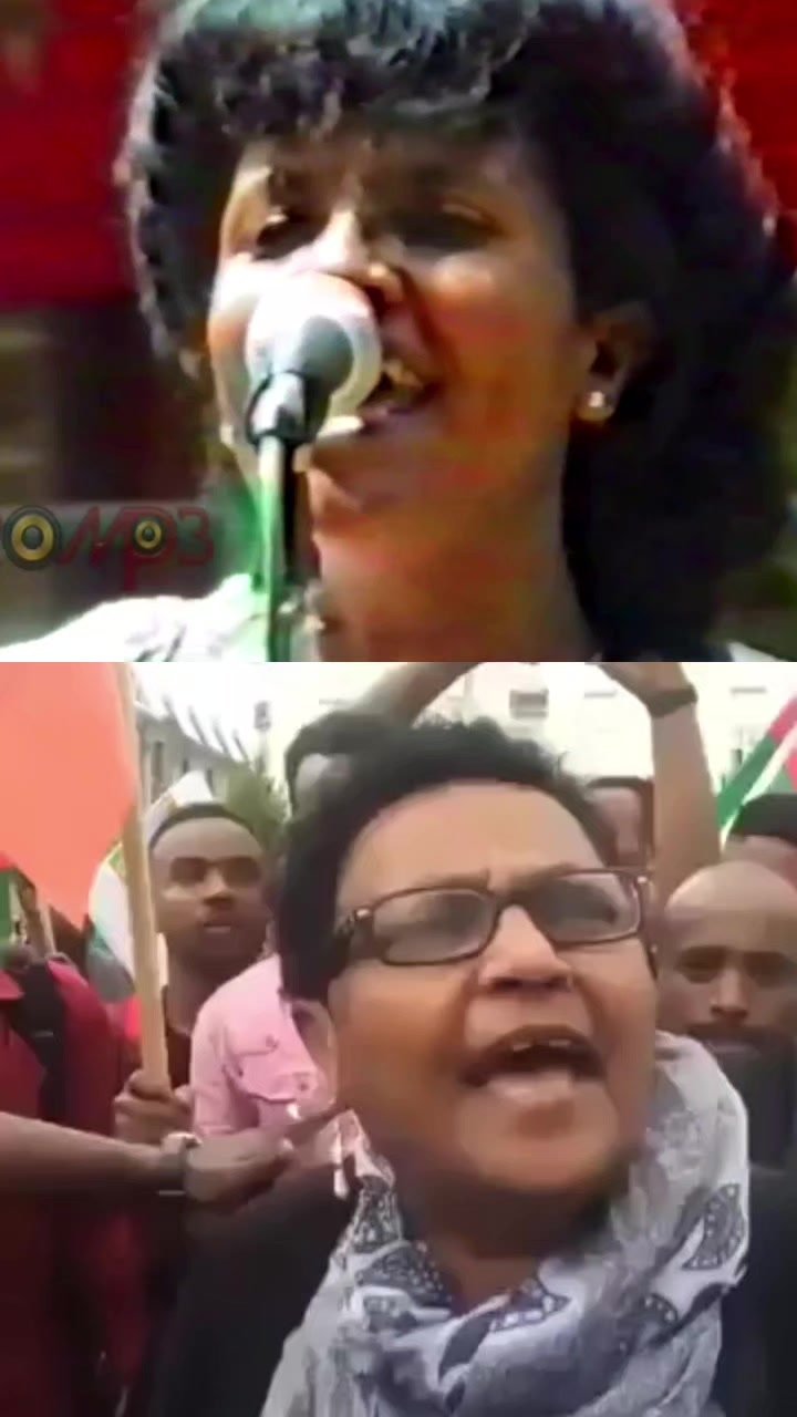 @Shimallis Abdisa Parody