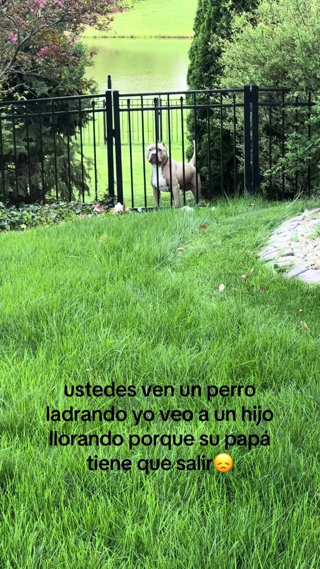 @Roli13