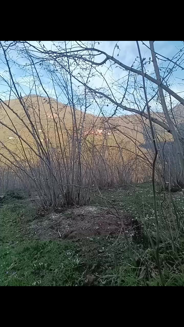 @Turan &Ouml;zkan