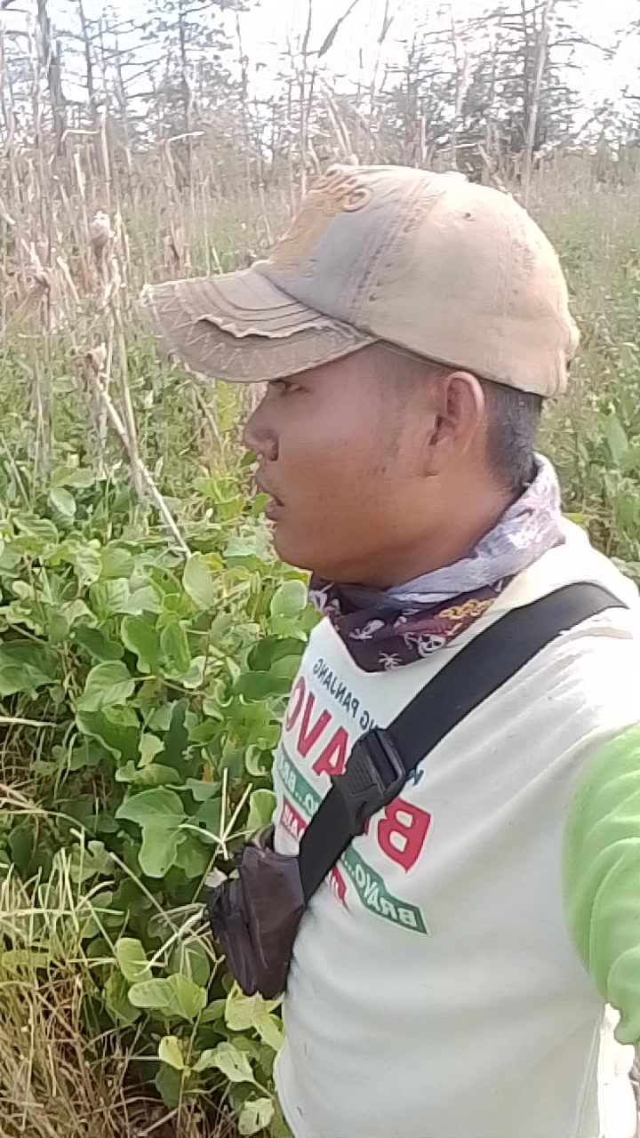 @Reng dhisa