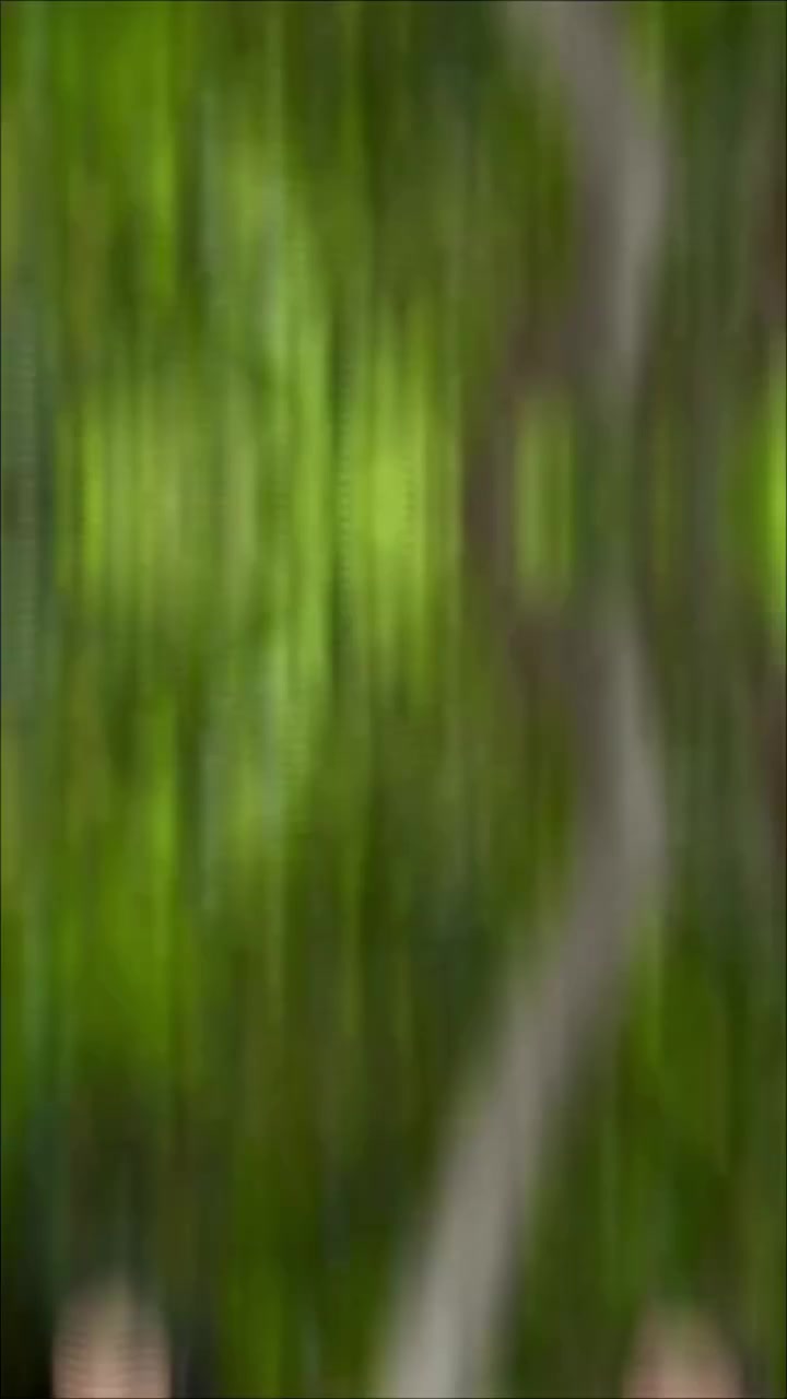 @๐ฅ๐ฎ๐บ๐บ๐_๐๐ต๐ฒ๐ฟ๐ถ_๐คโจ