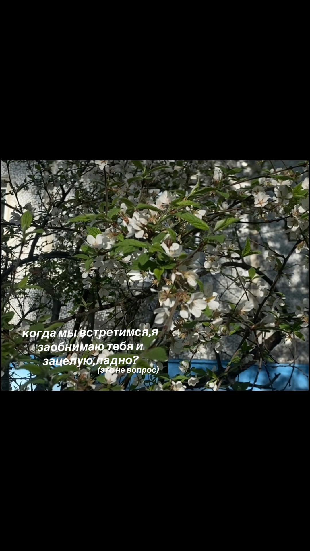 @/слишком искренний человек\