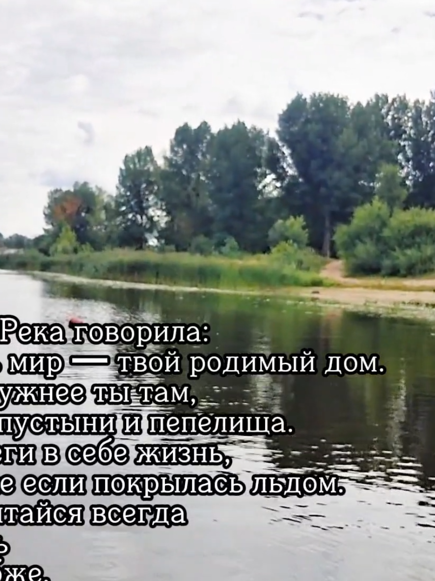 @🍒Спелая_Черешня🍒