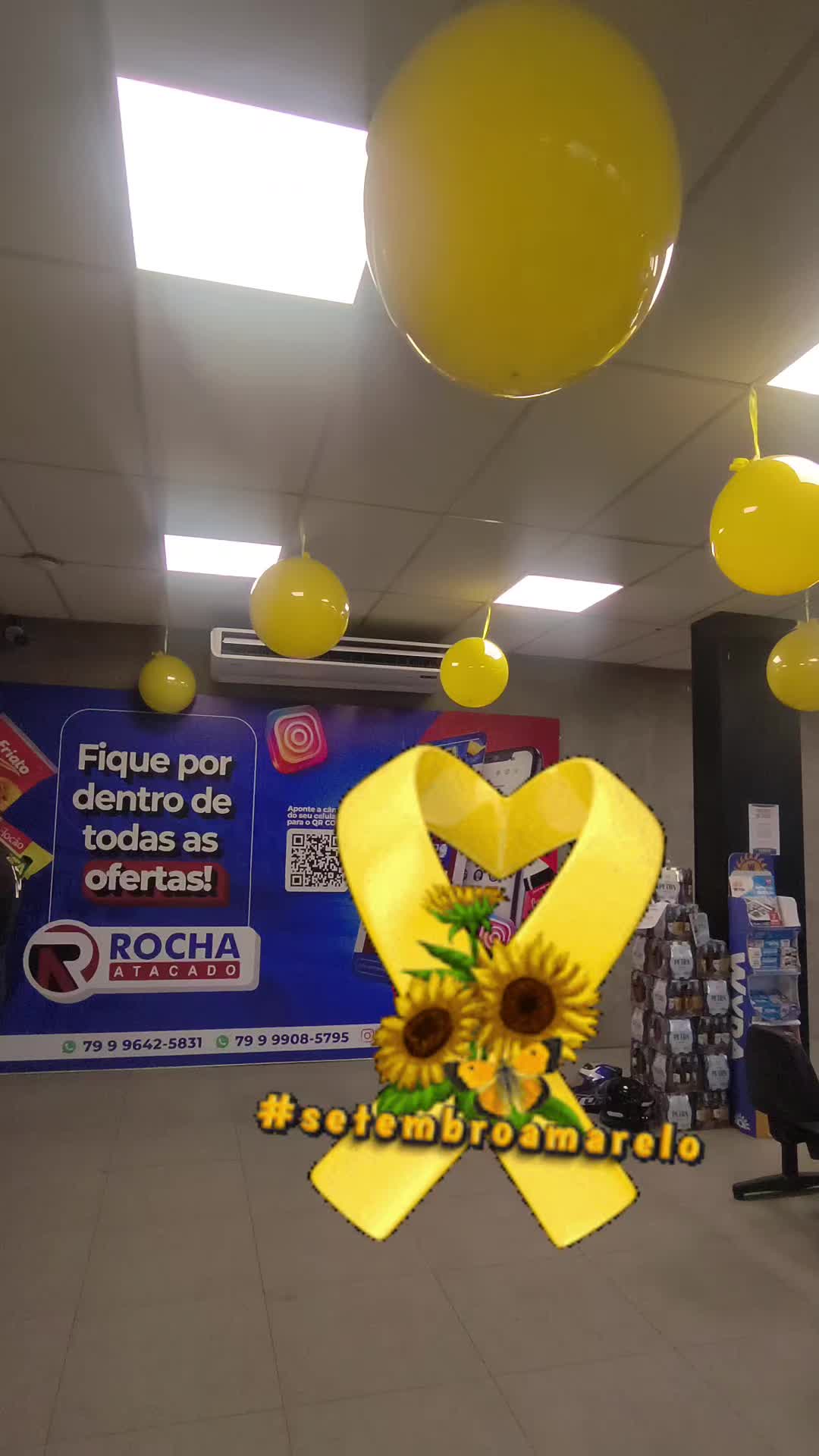 @Júnior Balões / Aracaju-Sergip
