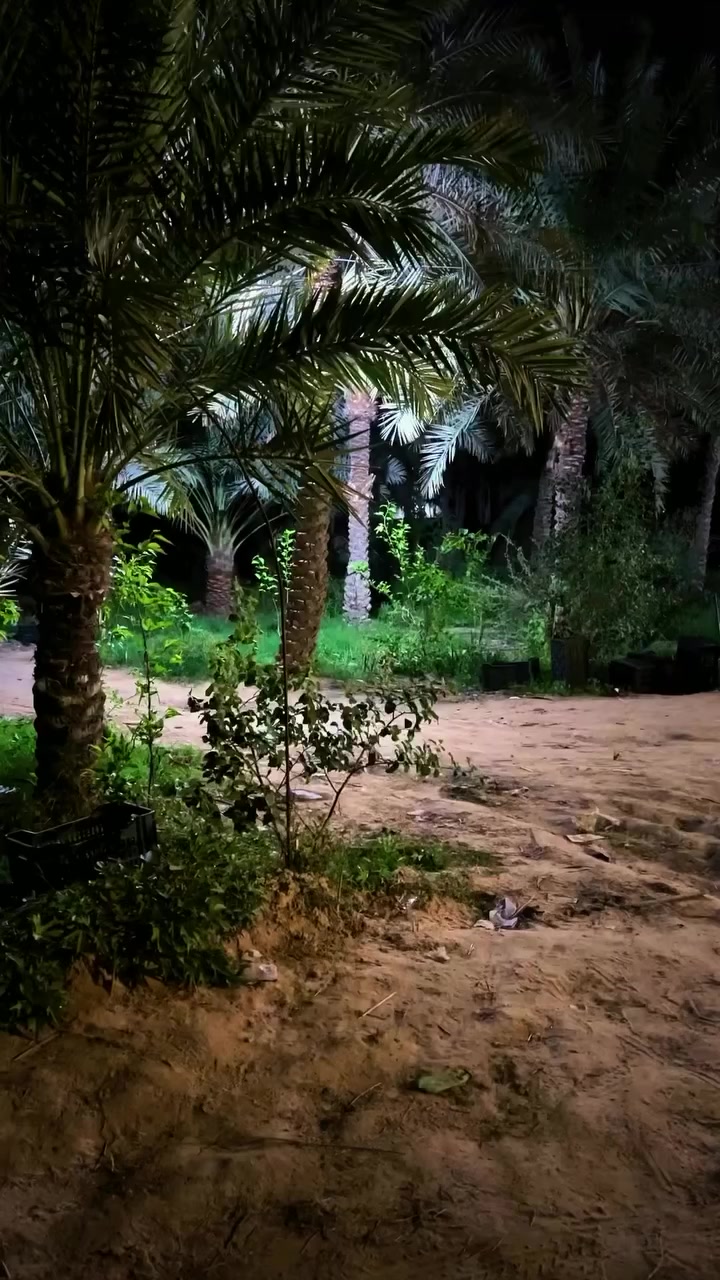 @Layla✨🇸🇦