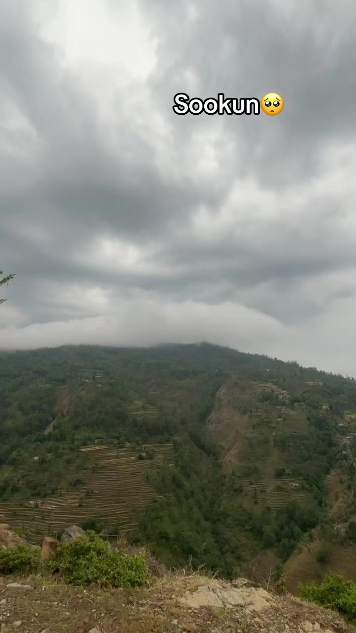 @Asmita Negi 1417