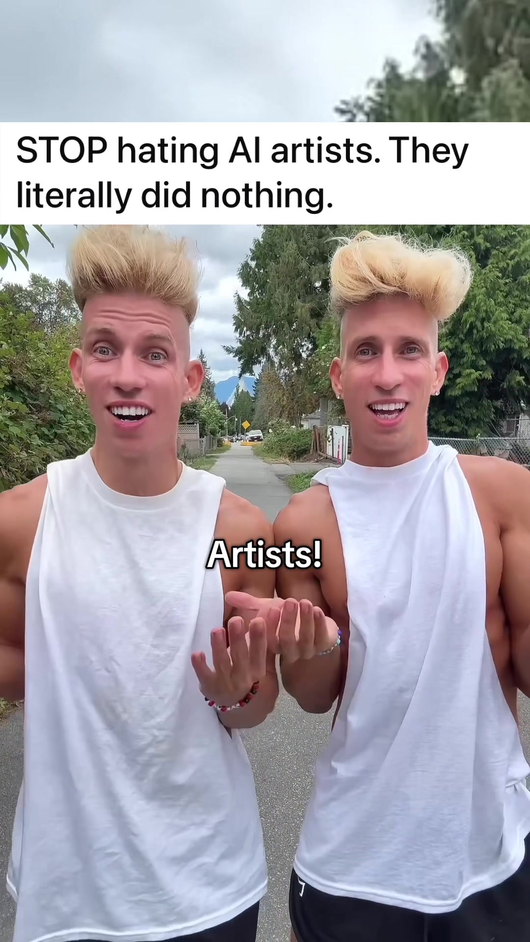 @vorostwins