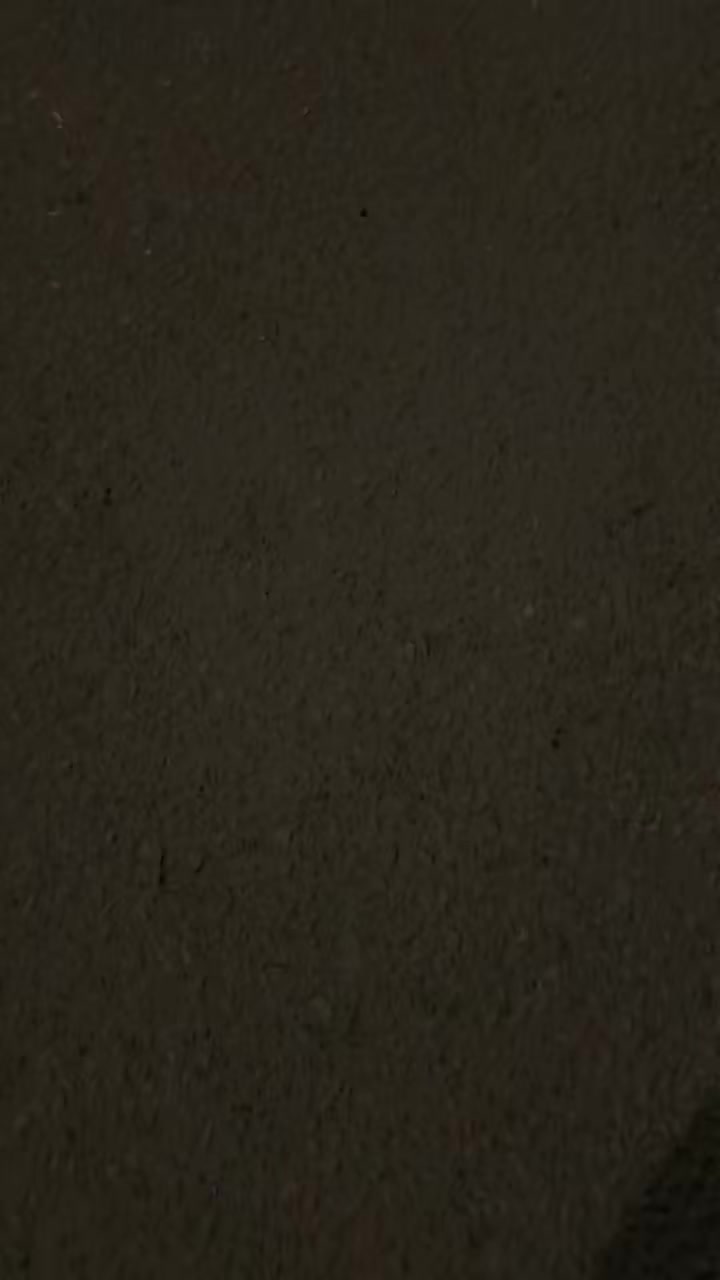 @أحمد القاضي 🦅