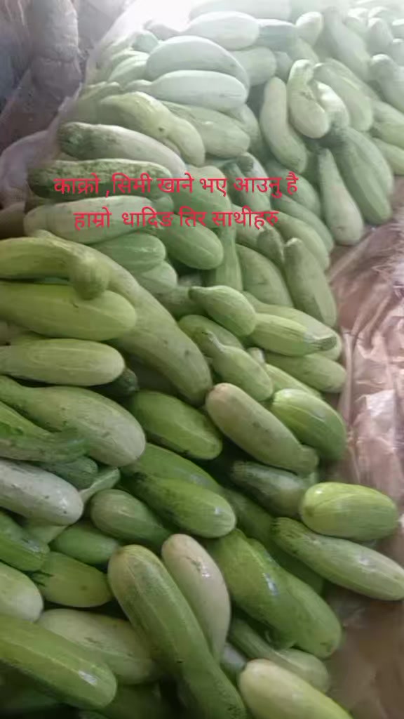 @Urmila subedi bhattarai