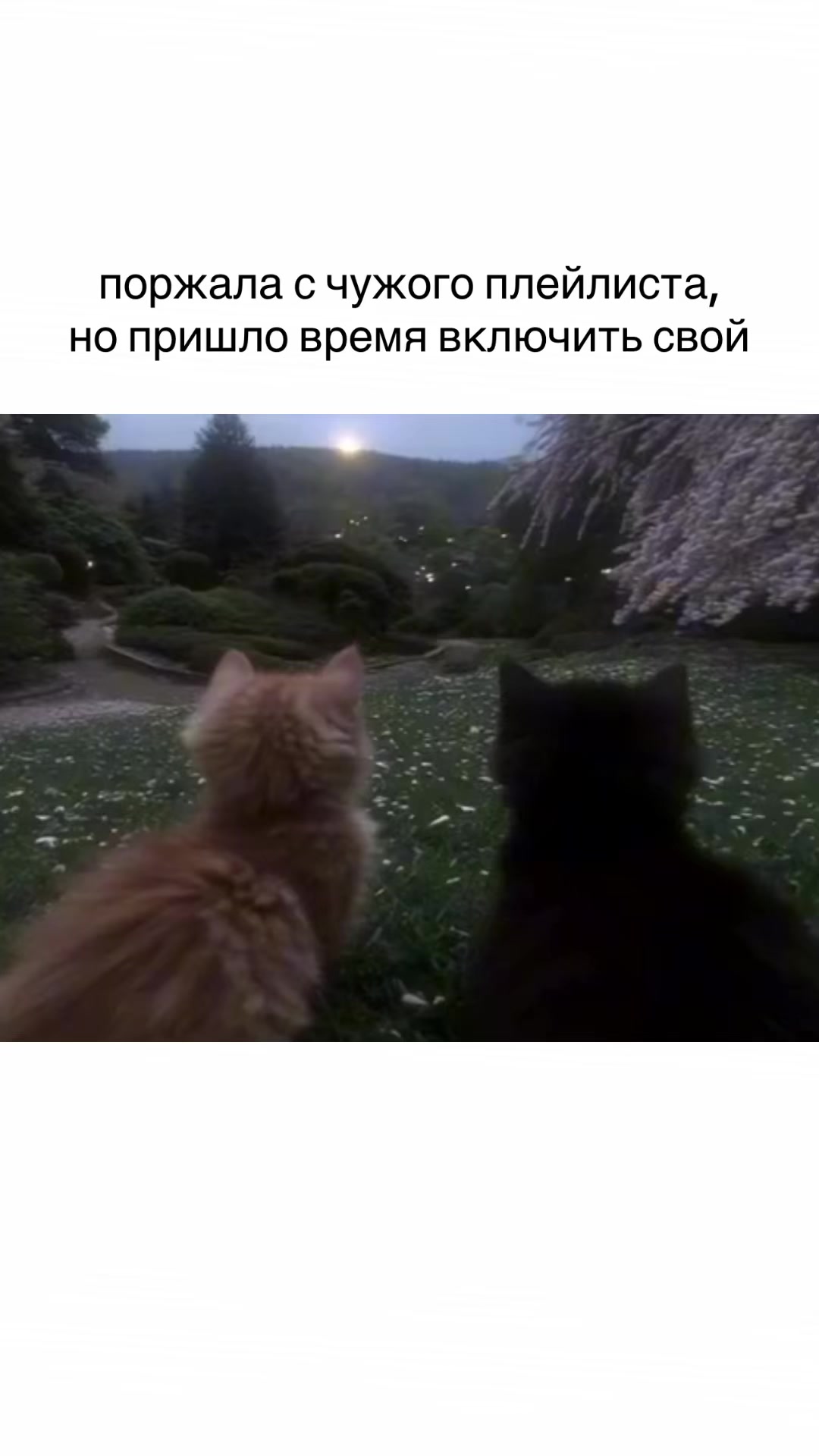 @fluv 🦇