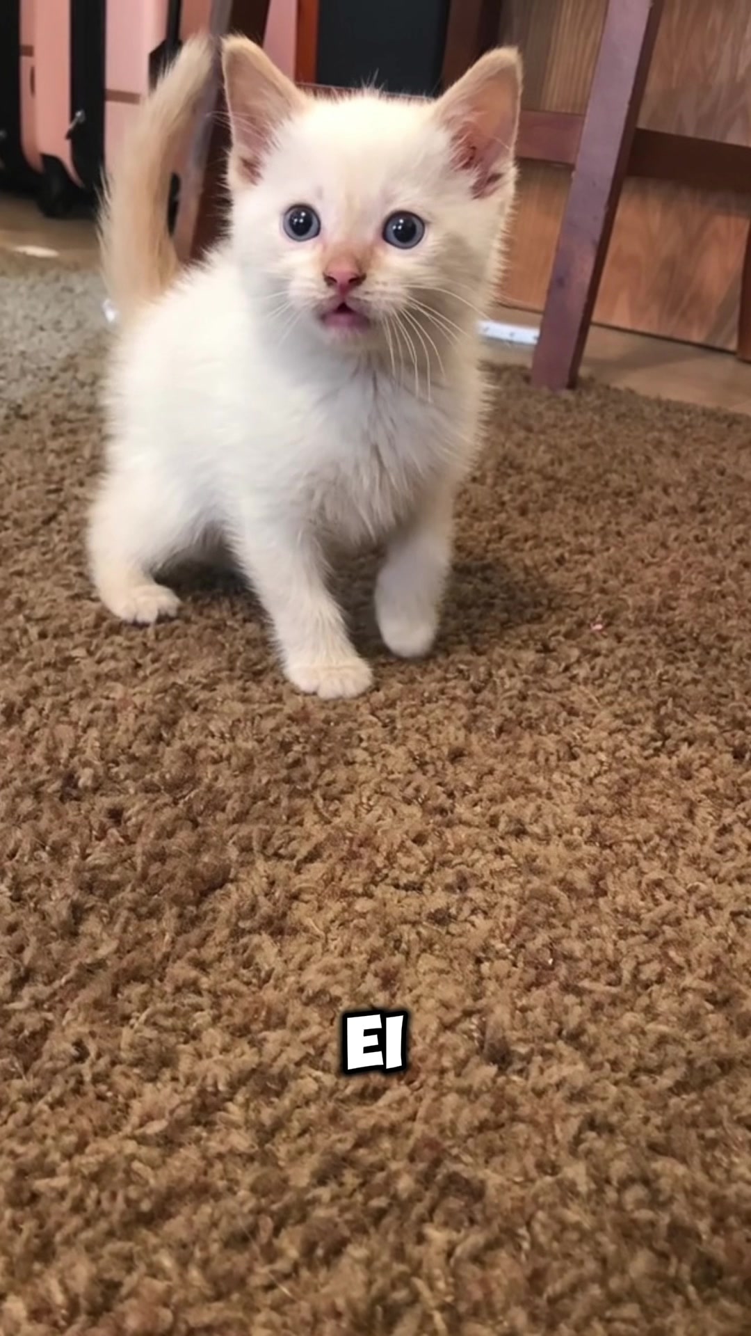 @Oii
