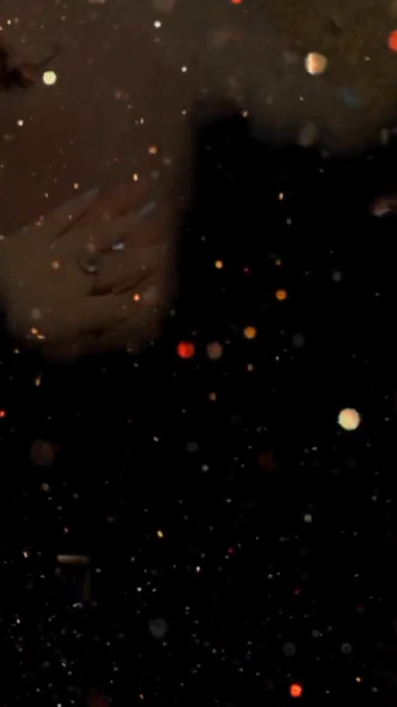 @✨𝑯𝒆𝒆𝒓𝒐