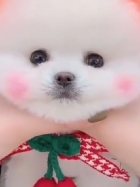 @БУЧ211