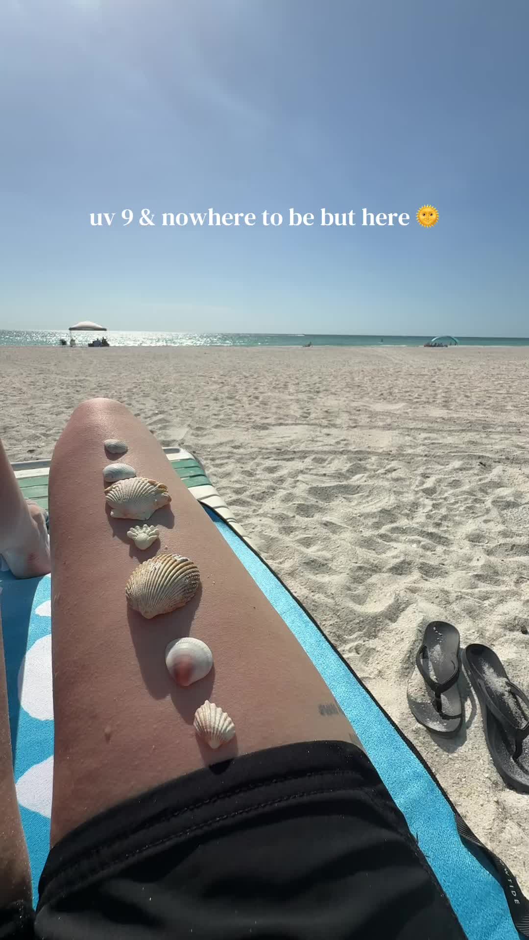 @amanda🐚🌊