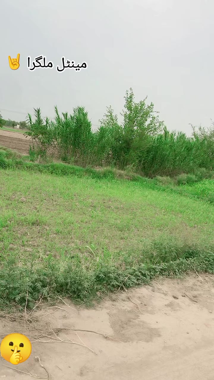 @$مـــــــزمــــــــــــــــل$