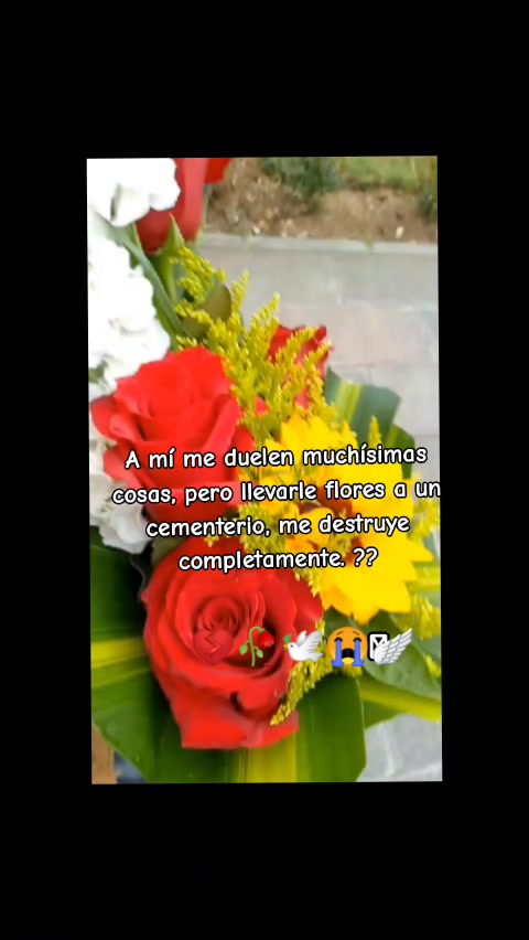 @veronicasarmiento