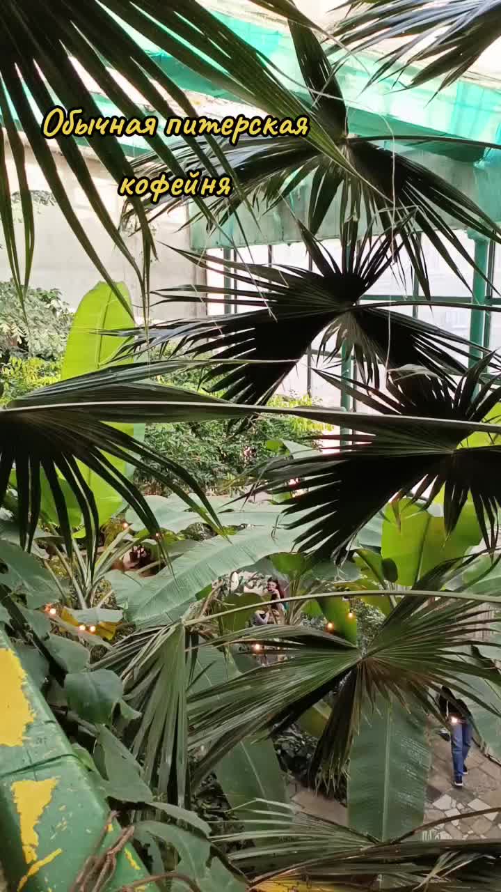 @user2278096979685