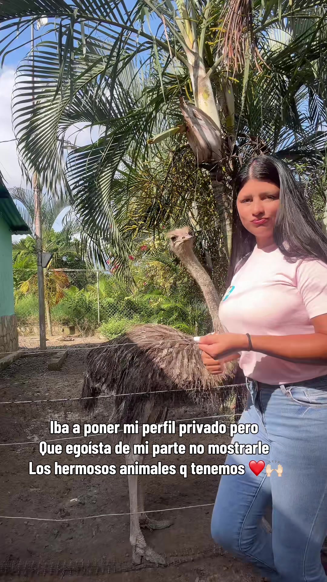 @Granjamascotalandiayaracuy